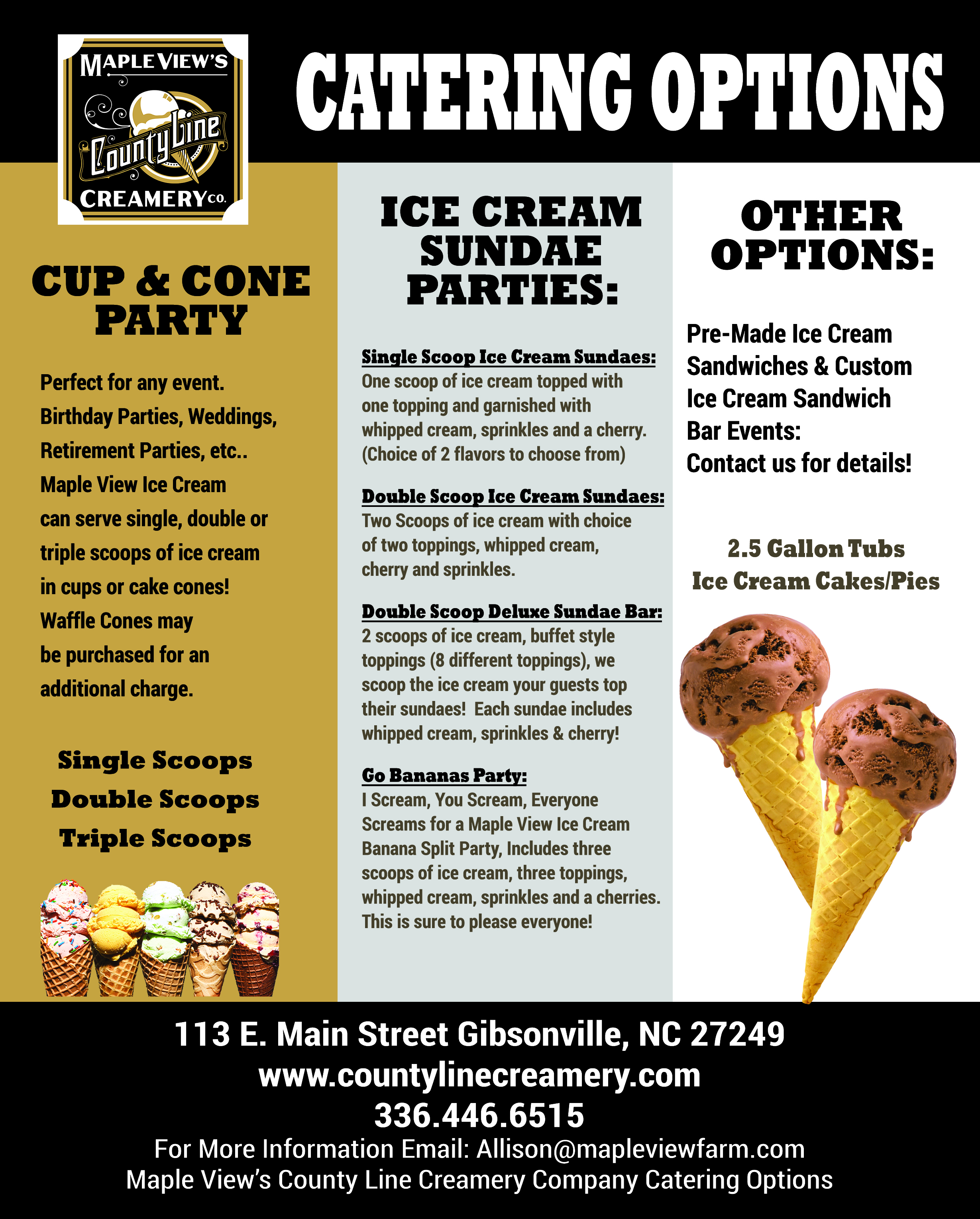 Ice Cream Catering for Office Parties